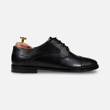 Regal Derby - Shoescoo