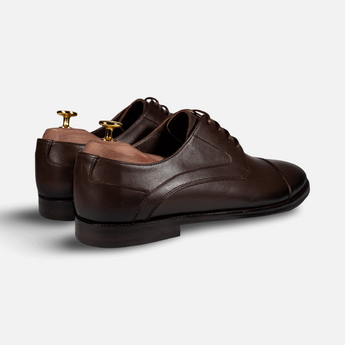 Regal Derby - Shoescoo