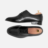 Marquis Oxford - Shoescoo