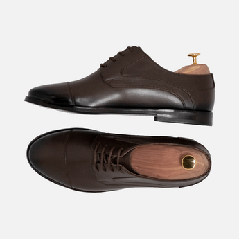 Regal Derby - Shoescoo