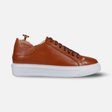 Elegante Sneaker - Shoescoo