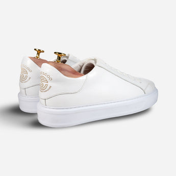 Elegante Sneaker - Shoescoo