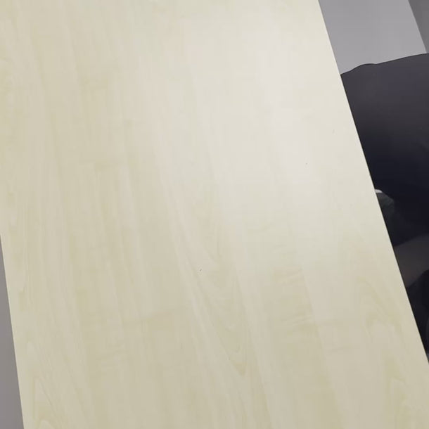 Handcrafted black full-grain leather Aristocrat Double Monkstrap shoes for men – premium artisan double buckle dress shoes by Shoescoo.